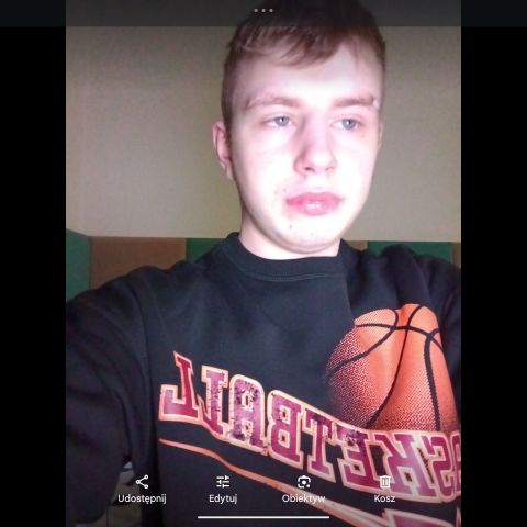 dominikskub