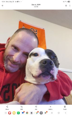 Harvey55