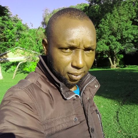 Joekips