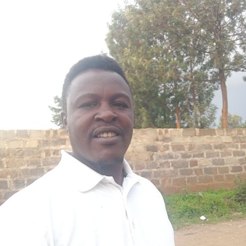 Jamkim