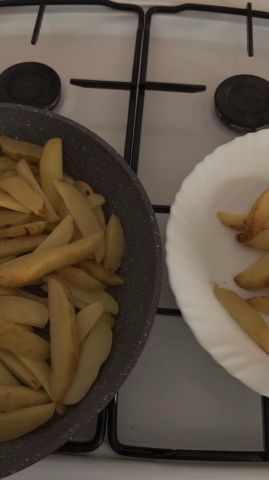 alina_platenco3