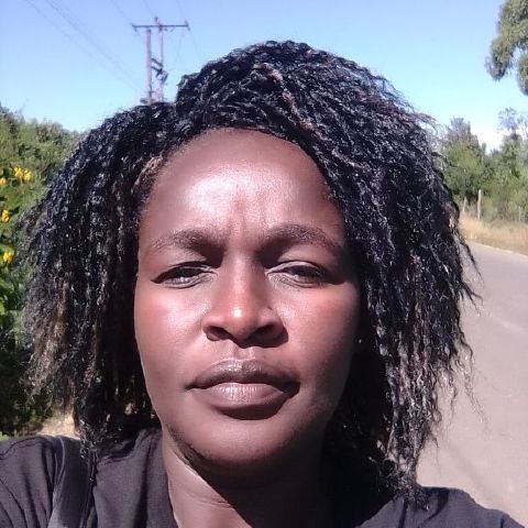 Baragu