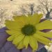 Alec989 is Single in Albuquerque, New Mexico, 3