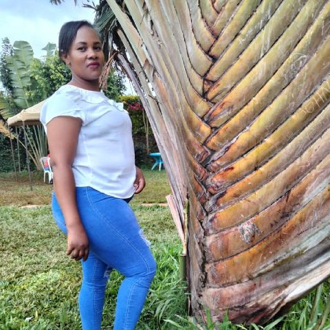 Lilie41