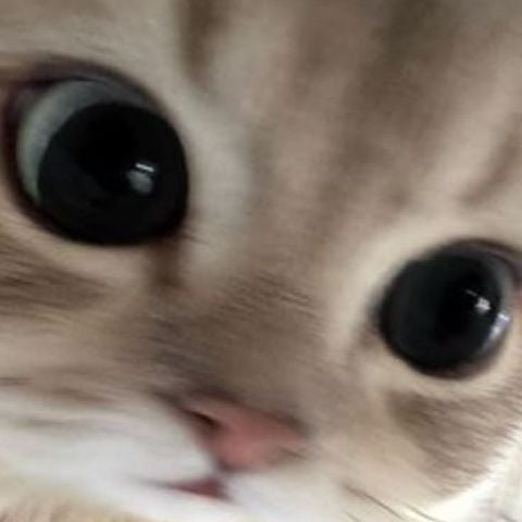 lizz98