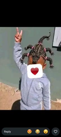 Kasimup