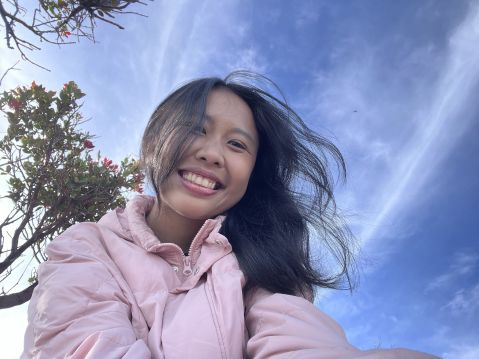 dira04