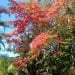 Lovewanted76 is Single in Canina, Queensland
