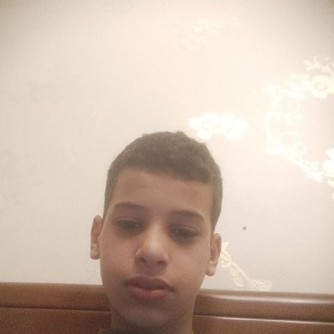 Djamal388