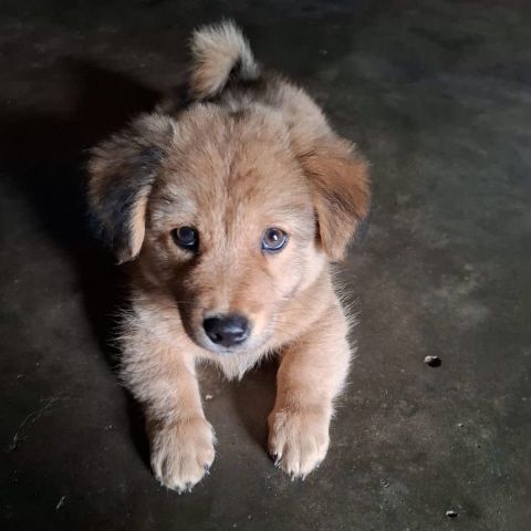 Vinahth