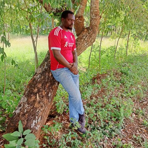 Kithome