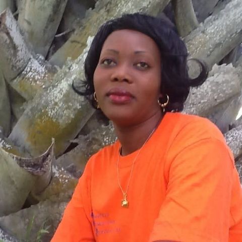 Stellaatieno