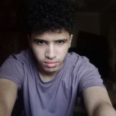 Radwan83