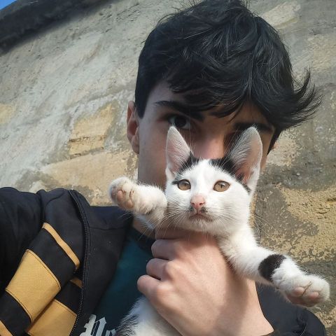 Alixan