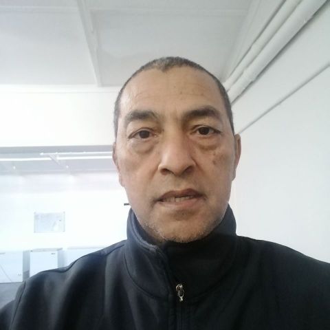 Sedman91