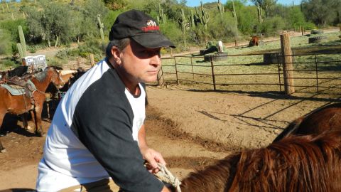 ElLoboFuerte is Single in Jaramillo, Chiriqui, 2