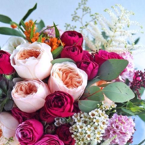 Florin82
