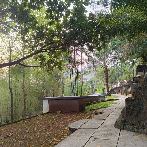 Lithai