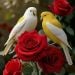 Taylor_1 is Single in New York, New York