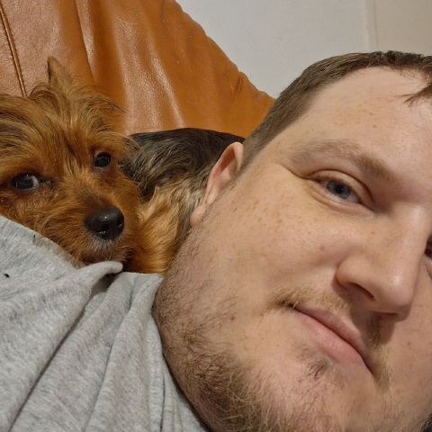 Spidy129 is Single in Rochester, England, 5