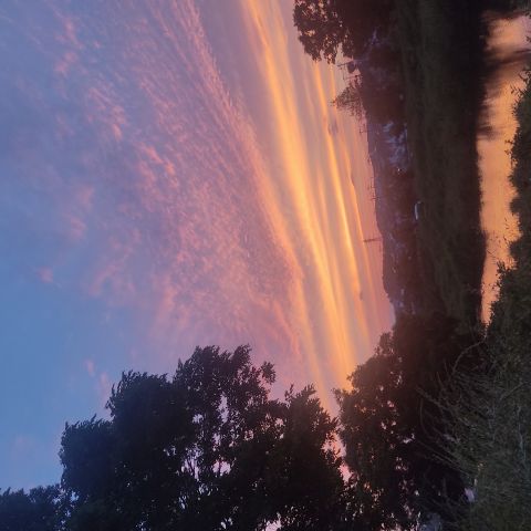 Bella_312