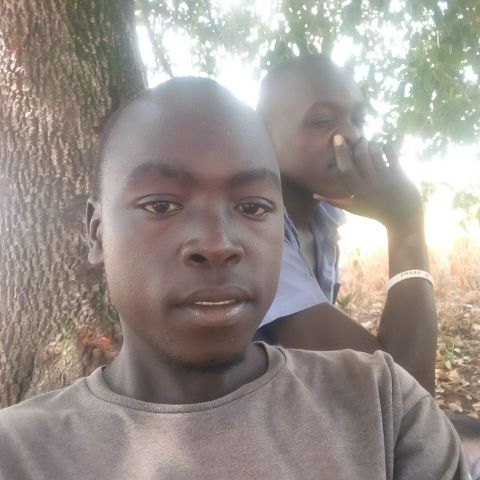 Denish61