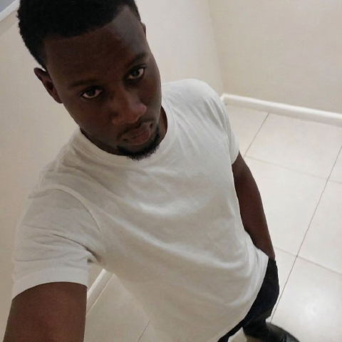 PHudson