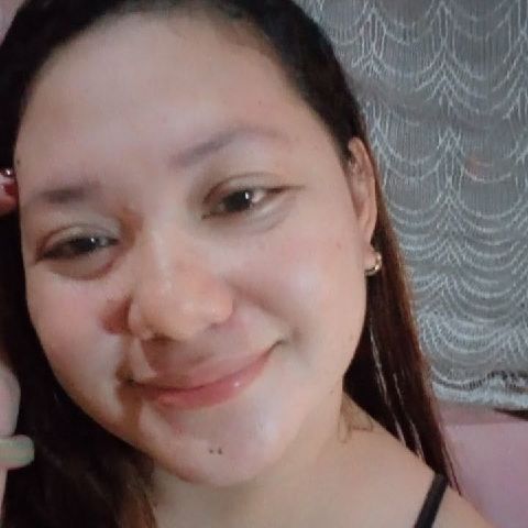 Rose_08259593
