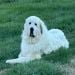 DavidH2121 is Single in Eureka Springs, Arkansas, 4