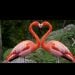 BlessA43 is Single in Katy, Texas