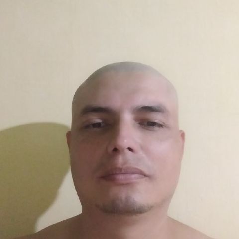 Gustavo33