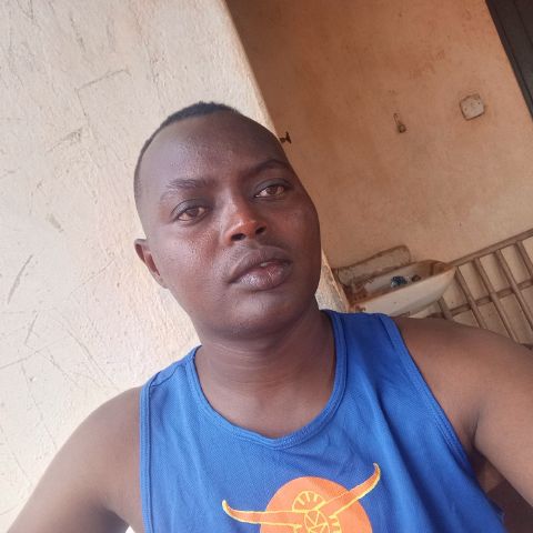 Austine365