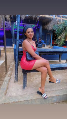 staisy