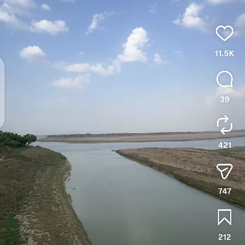 Brij33