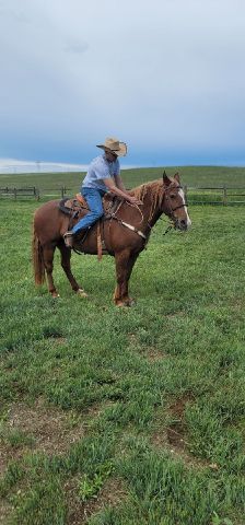Josh1722 is Single in Cheyenne, Wyoming, 3