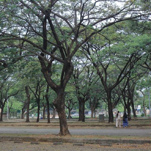 Gracetya118