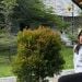 clarinee is Single in ambon, Maluku