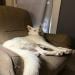 hbcfyhn_shshns17 is Single in binghamton , New York
