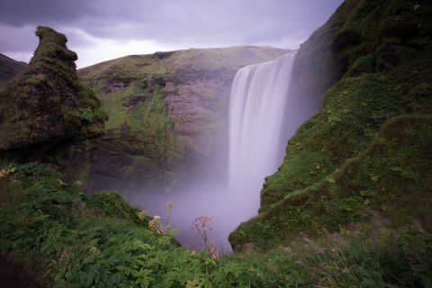 EliasNOse