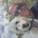 Maritza1964 is Single in DC Metro, Virginia, 2