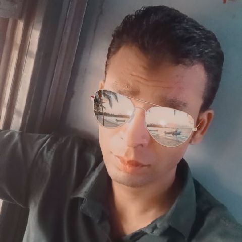 Mandeep981