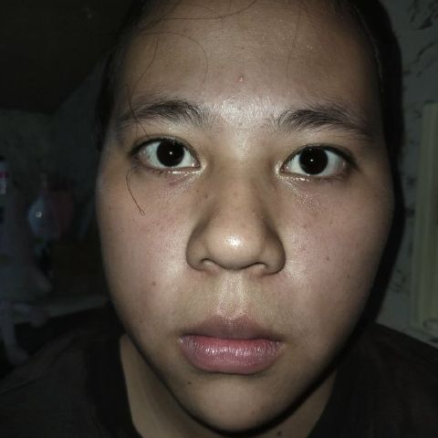 Jessel2006