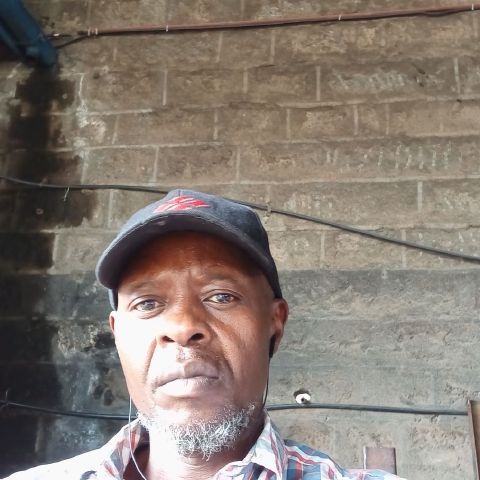 Wajika