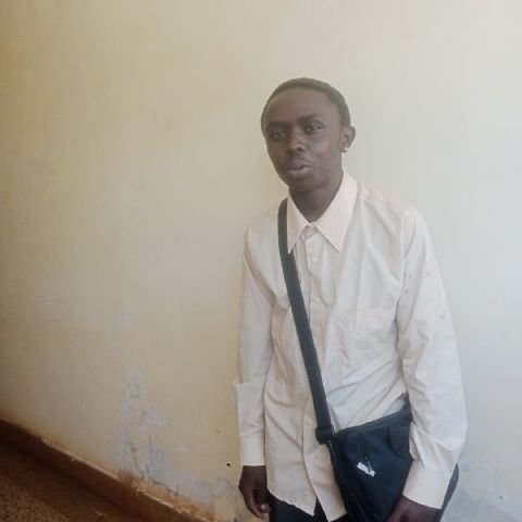Denniske