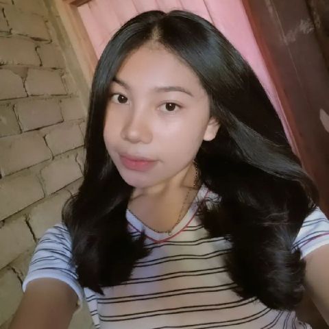 tina13537