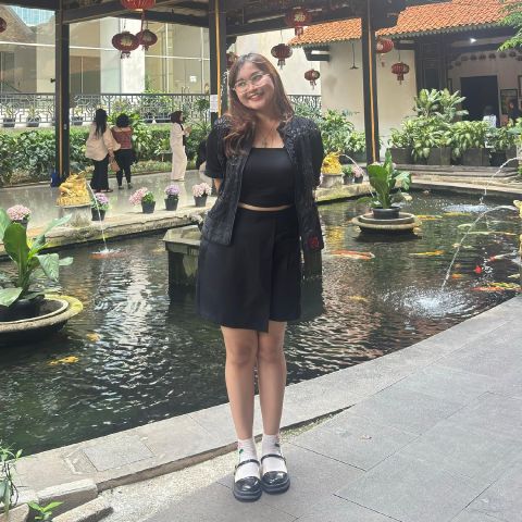Ireneect