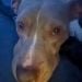 LetMeBeMe is Single in Winston Salem, North Carolina