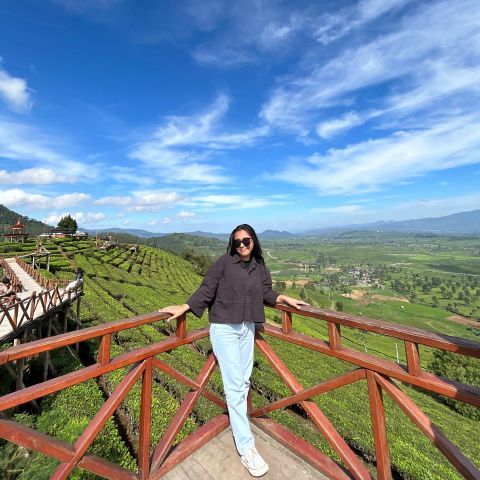 Hardianti15