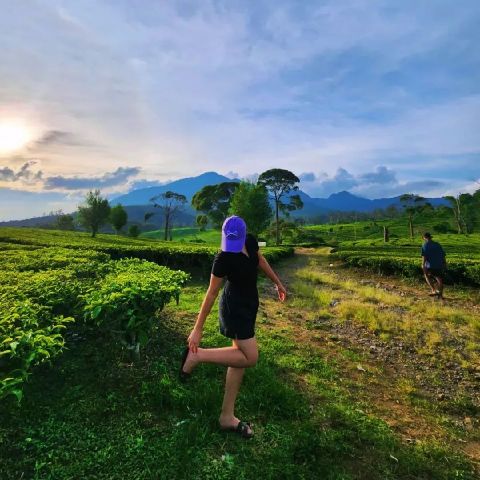 Mawar_123