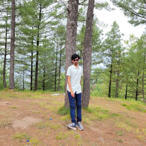 Alishah24